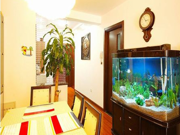慈世堂：家中鱼缸的摆放位置应该注意什么？