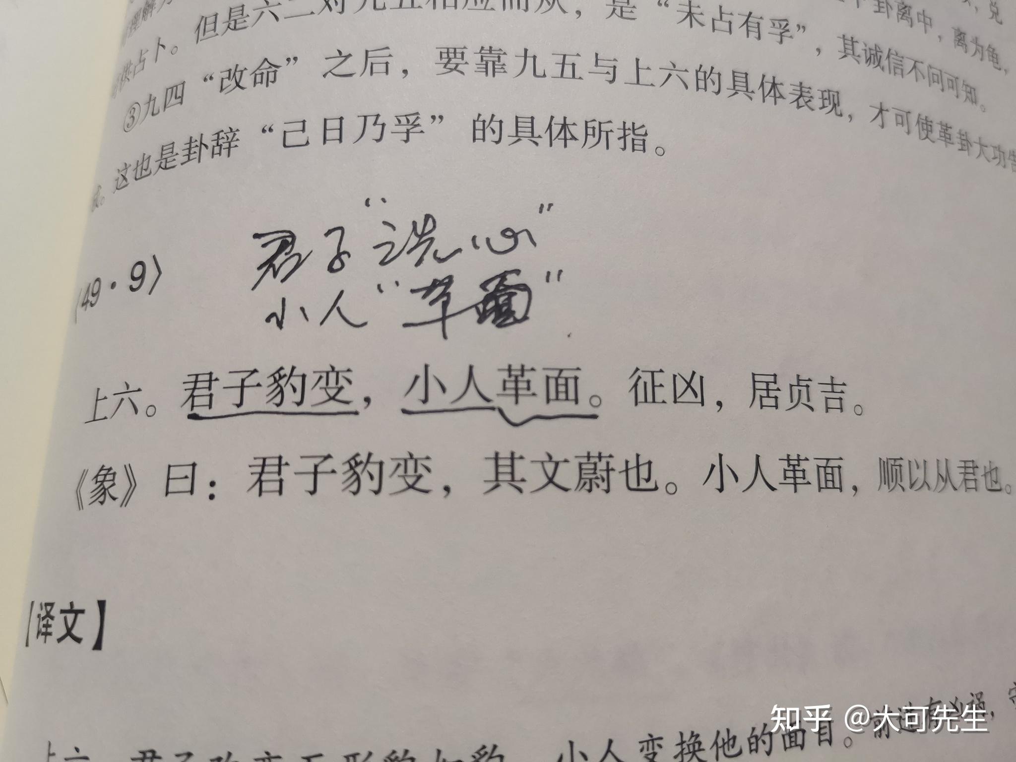 《象》曰:系避之厉,有疾惫也