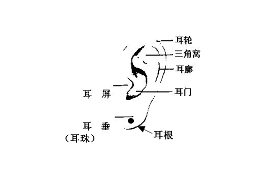 耳朵最上方有痣在面相中看若是一个人的耳垂