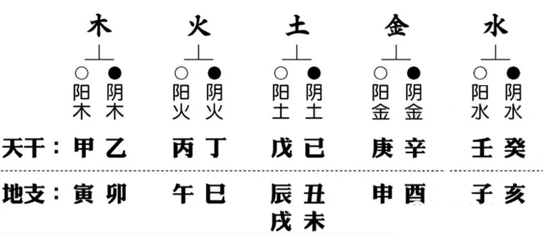 巳五行属什么巳（巳）属火，中年多灾，晚年