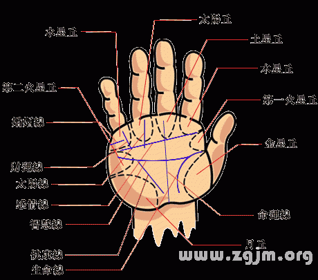 女人左手有痣的女生代表什么，一步到位！