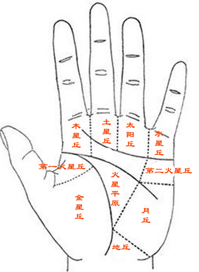 命运线事业线分叉图解_日化线和专业线图解_生命线图解