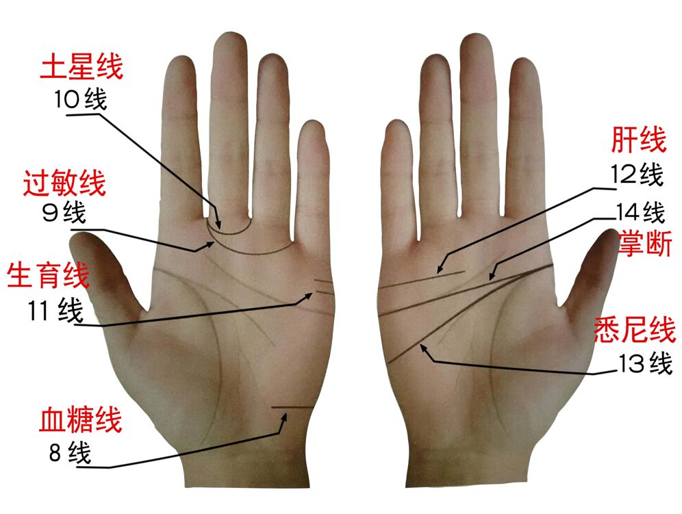 （李向东）手纹的秘密手相，你知道吗？