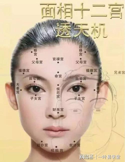 女人脸上长痣面相，女人一定要看！！