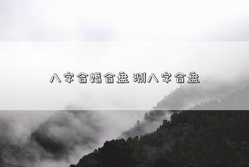 八字合婚合盘 测八字合盘