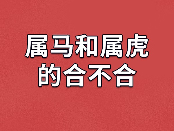 2021年属马人最佳合作伙伴的3大生肖！