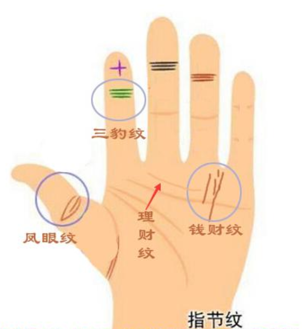 从手相看得出来非富即贵的女人手相!