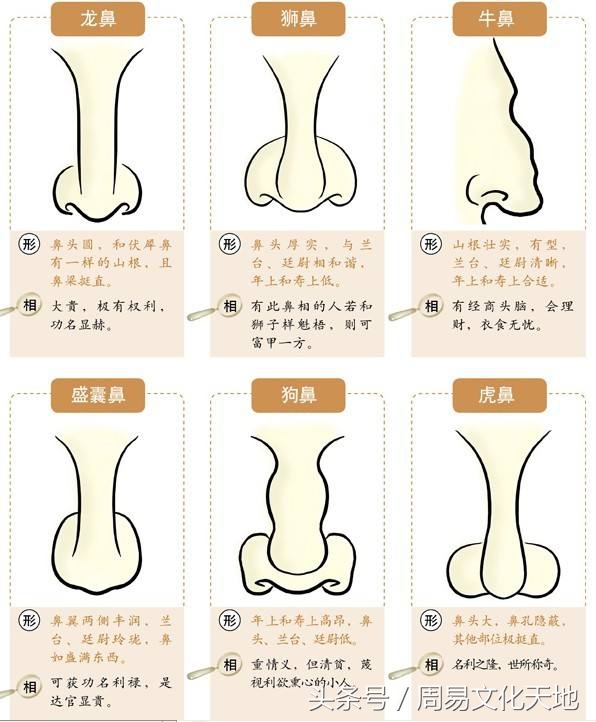 鼻子上有纹身的人的性格特征鼻子纹怎么消除