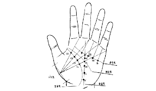 面相、痣相、手相大全女右手的解析，一步到位！
