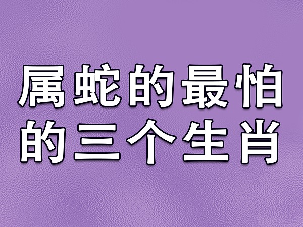 属蛇的和什么属相相冲蛇与虎相穿害