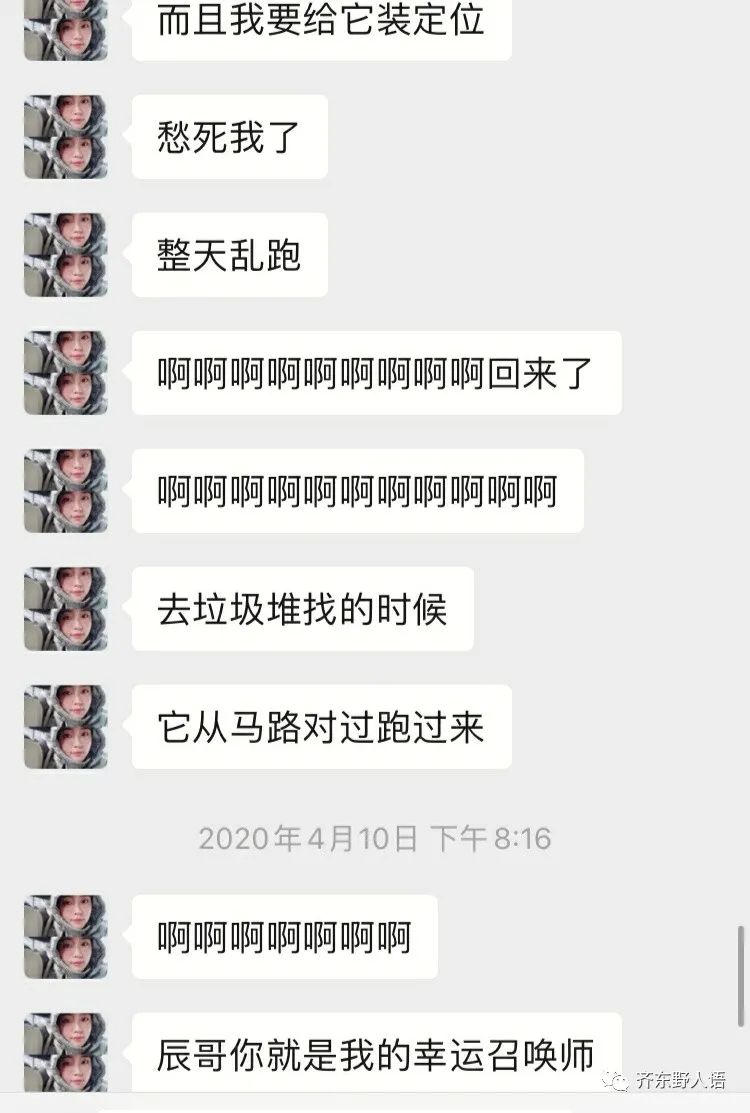 风水堂:卜和筮是一件事吗