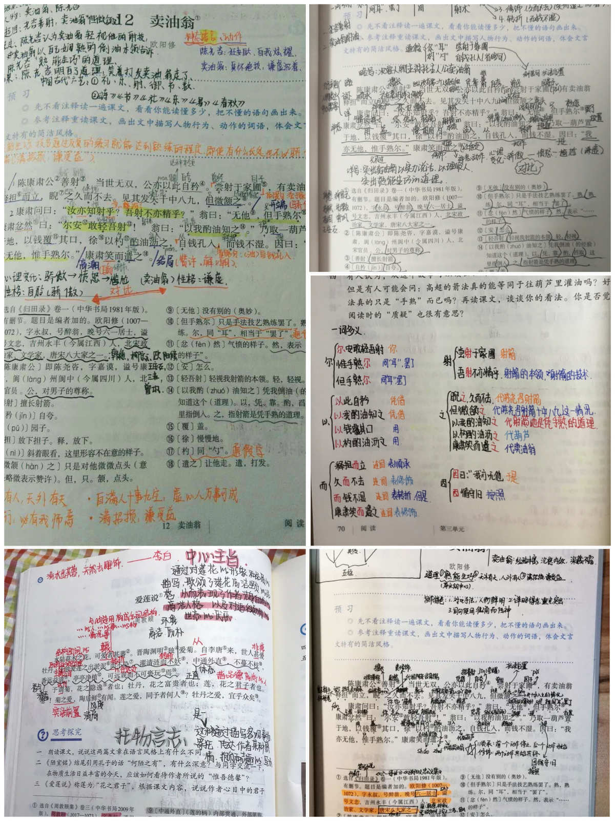 套汇聚全国各地版本优秀笔记——《学霸笔记小学》