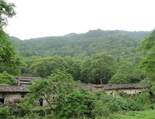 居家风水知识大全图解