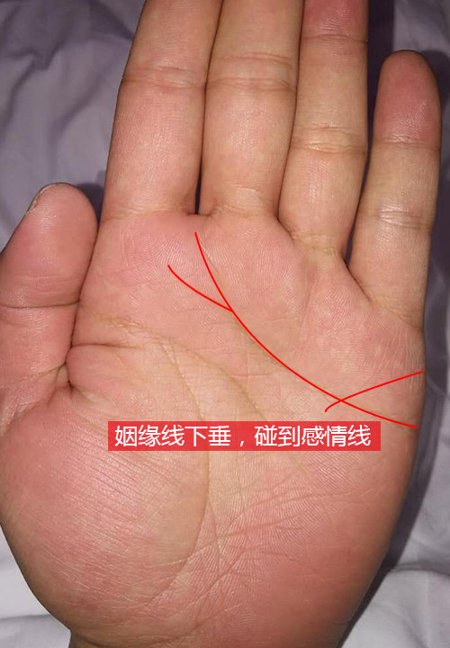 婚姻线分叉图解，你知道吗？婚姻条怎么看？