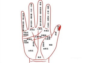 男性手掌纹路图解：手掌上的三大基础线