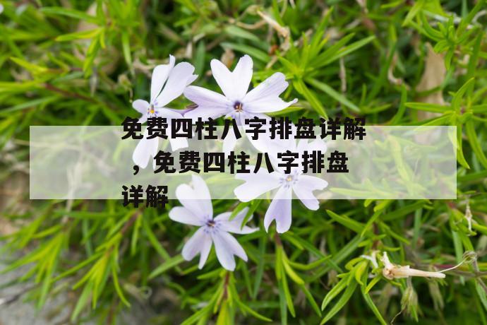 免费四柱八字排盘详解 ，免费四柱八字排盘详解