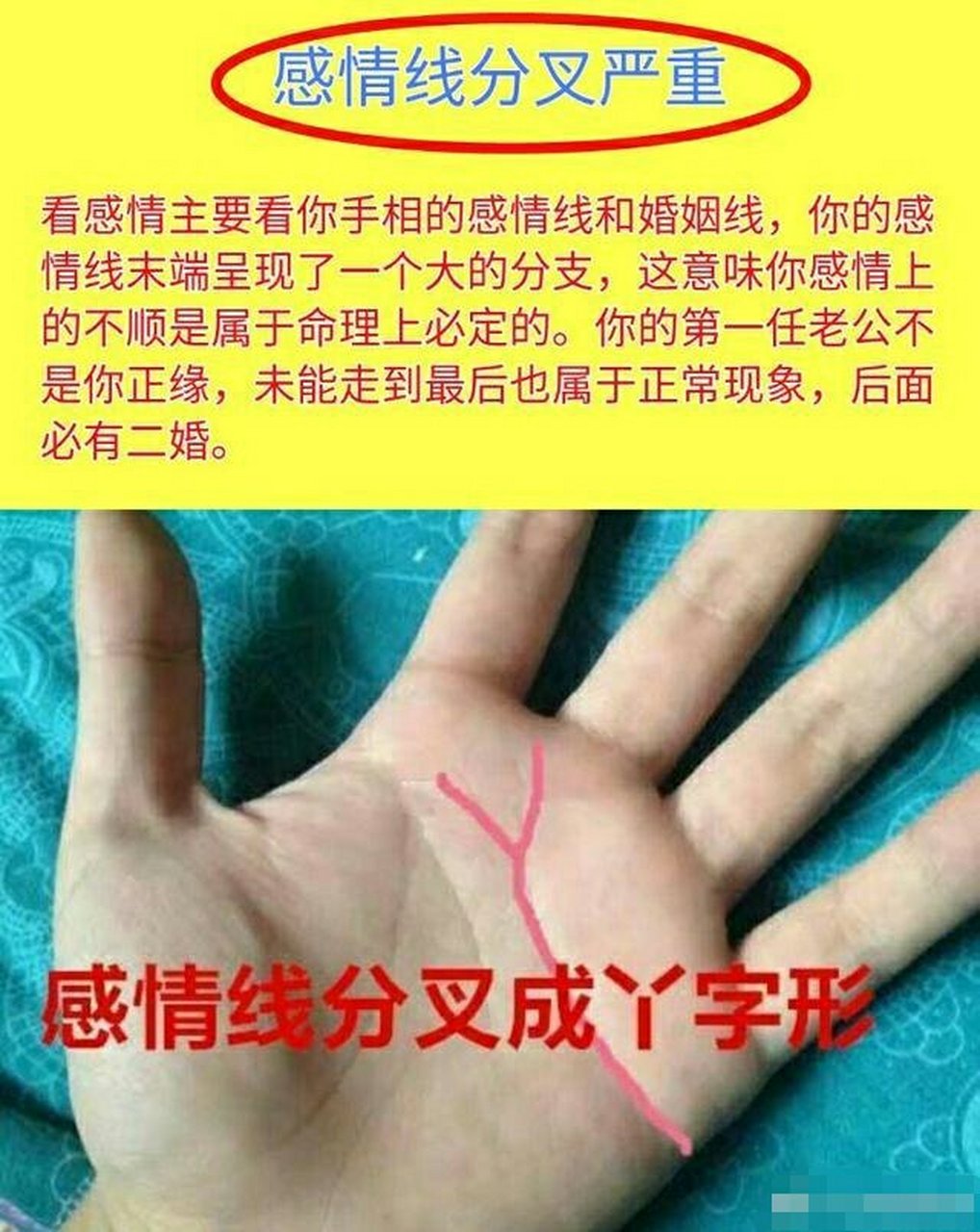 如果一个人的感情线末端分叉，代表着什么？