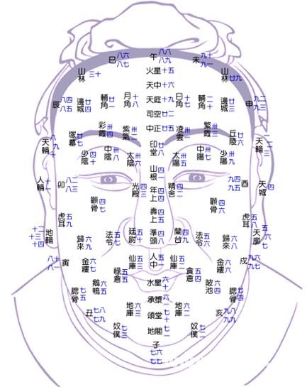 女人左手手相图解，右手为爱人更为准确！！