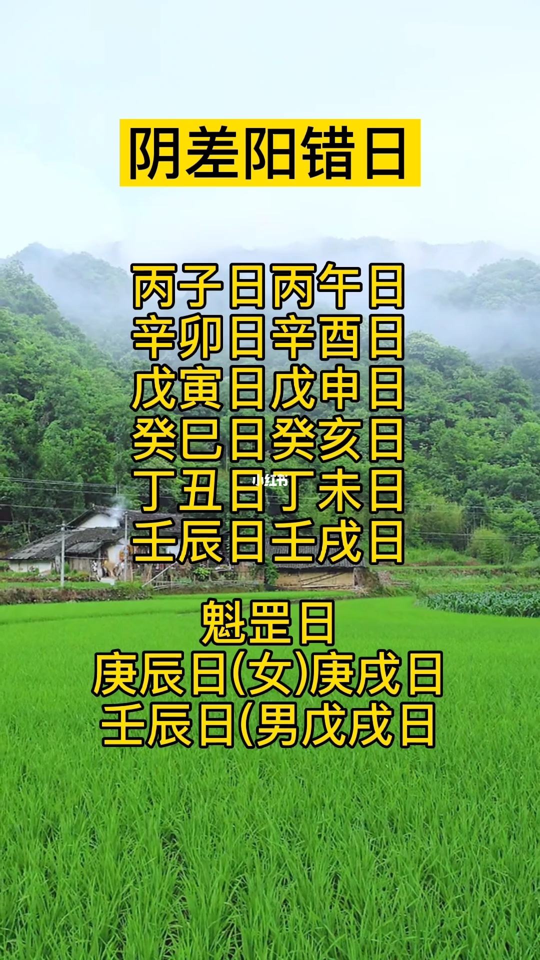 风水堂：八字不带四库，谁也不能独专