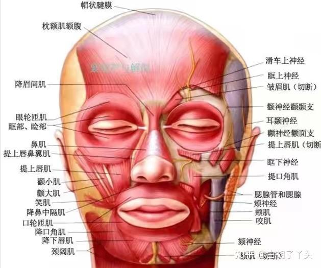 图解痣相脸部 （李向东）长痣身相图的惊人寓意，你知道吗？