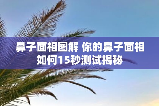 鼻子面相图解 你的鼻子面相如何15秒测试揭秘