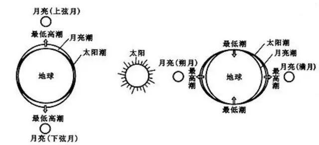 你知道吗？这些阳历是星辰历月的基础历法