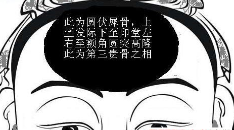 妻子颧骨高又为何会影响到夫君呢？古人的智慧是无限的