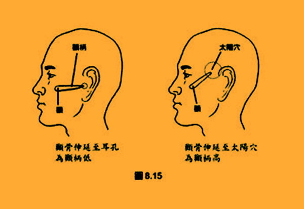 超模大表姐颧骨对气质的影响，你知道吗？