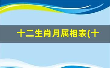 十二生肖月属相表(十二生肖对照表属相)