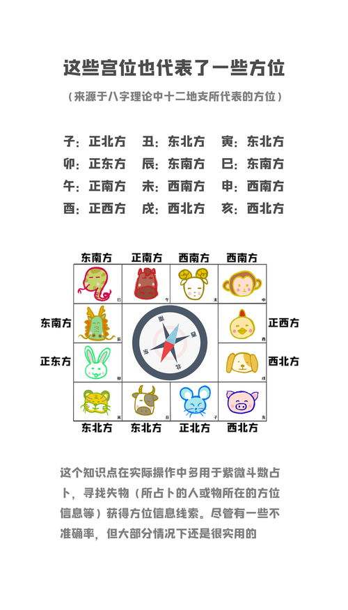 紫微斗数八字排盘