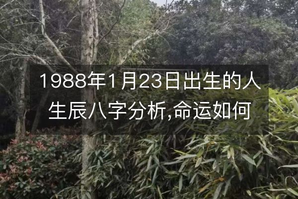 1988年1月23日出生的人生辰八字分析,命运如何五行缺什么