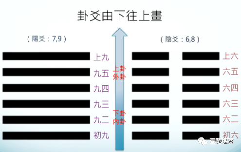 今日占卜六爻 巫师根据骨甲裂痕分析天神给予的答案