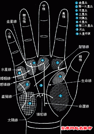 男人手相的基本线条和纹路，你知道吗？