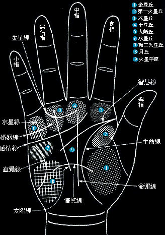 男人手相的基本线条和纹路，你知道吗？