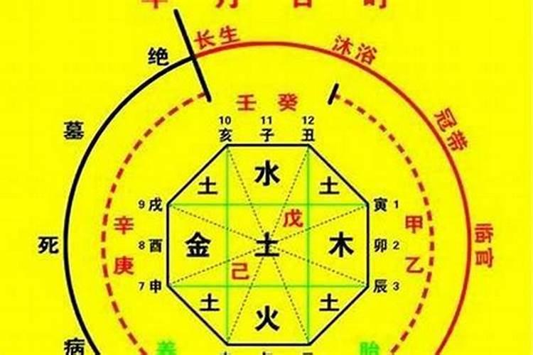 怎样判断八字中十神喜忌