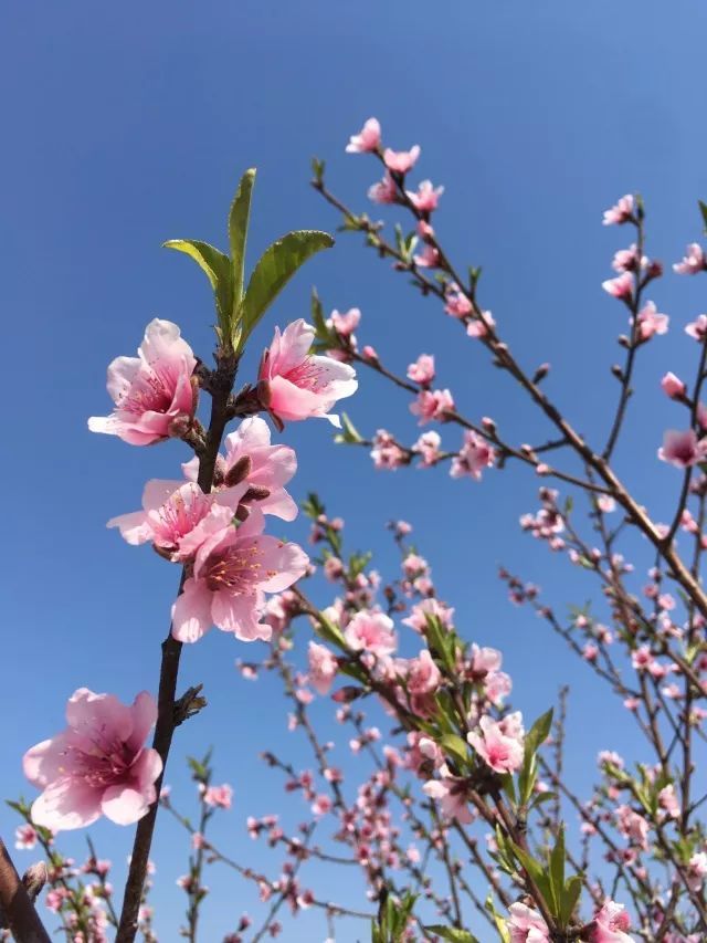 风水堂:八字看你潜藏的异性缘