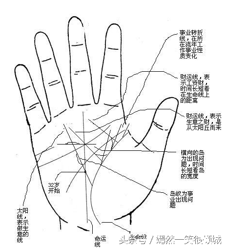 （李向东）手相学的起源，你知道几个？