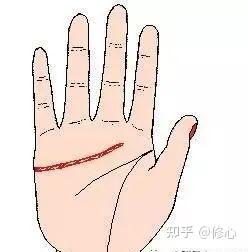 手掌纹路图解手相 手相传统意义的5条线，你知道吗？