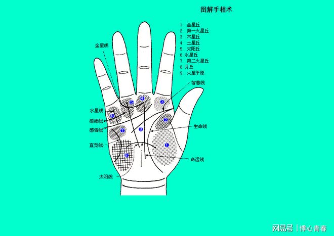 怎么看手相?手相的三条线分别代表什么?