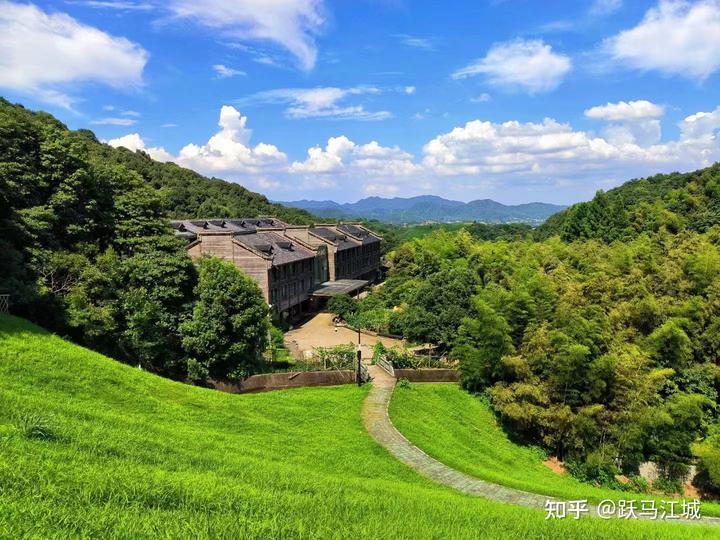 风水堂：过多根深、根重