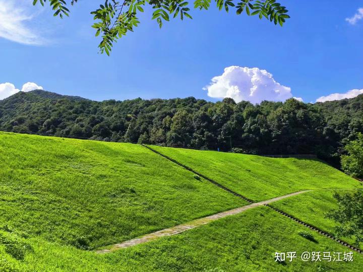 风水堂：过多根深、根重