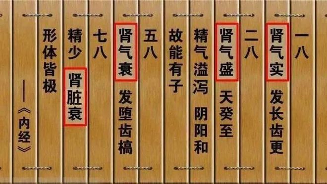 刚出生的宝宝怎么查五行八字缺什么查询怎么用