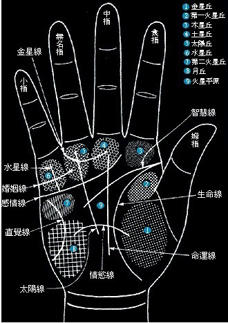 没有掌纹的手相是怎么样的呢？