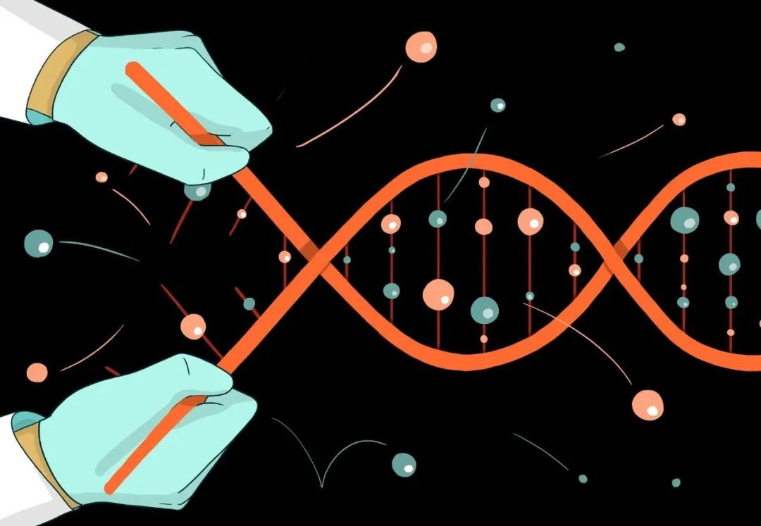 DNA的神秘，在于编码才能了解生物体蛋白库！