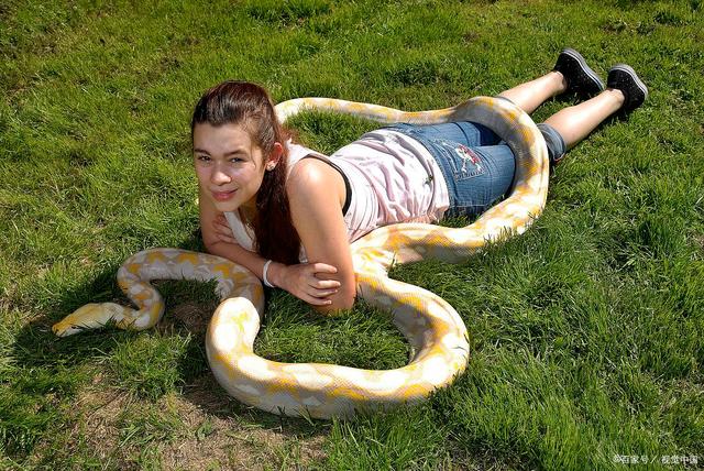 已婚女人梦见蛇生小蛇有什么预兆？