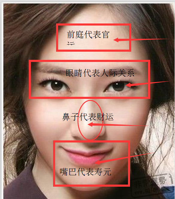 男女眼之力：解析面相中男女眼睛的分类与意义