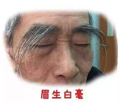 面相知识眉相（上）：解析眉毛的功能与眉相的奥秘